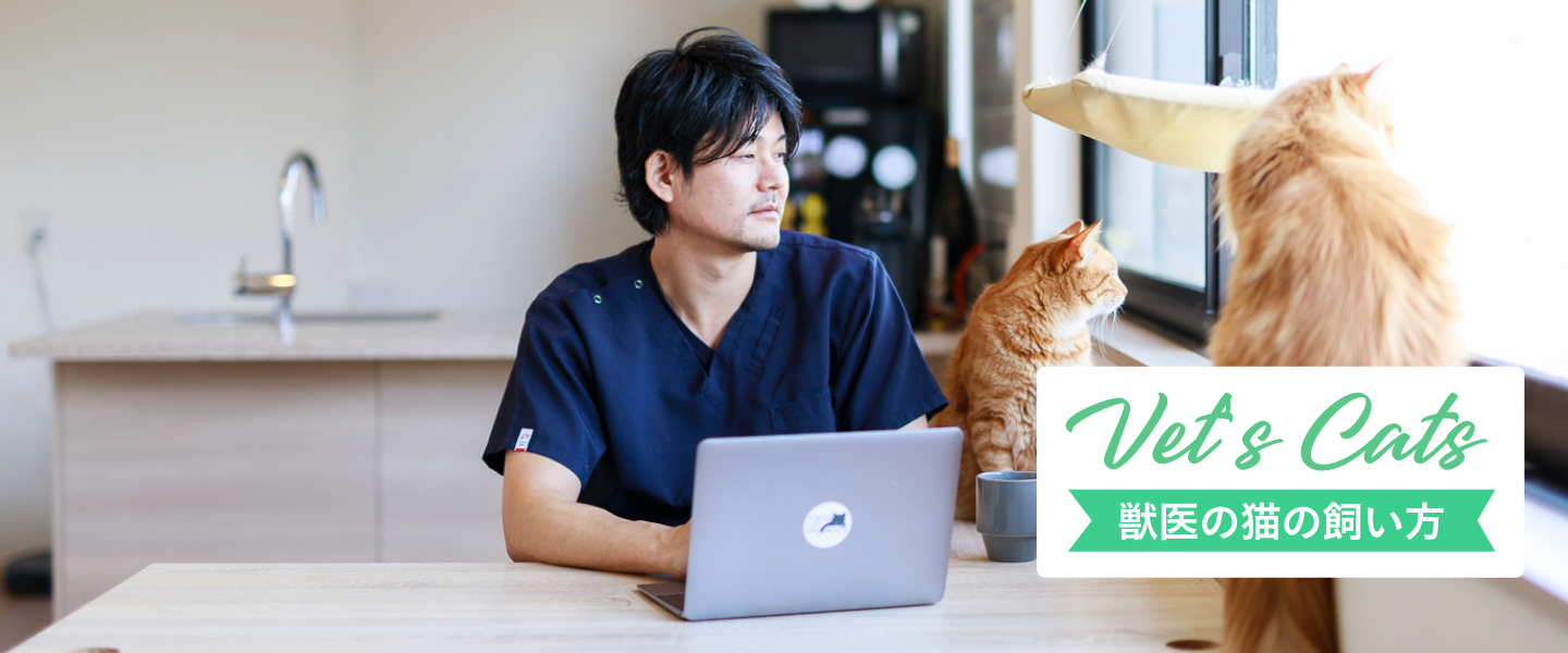 猫専門病院の院長 山本宗伸先生の3匹の愛猫との“ゆったりマイペースな