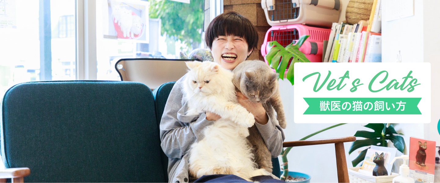 家でも病院でも猫・猫・猫。 5頭の愛猫に囲まれる、木村先生の幸せな毎日