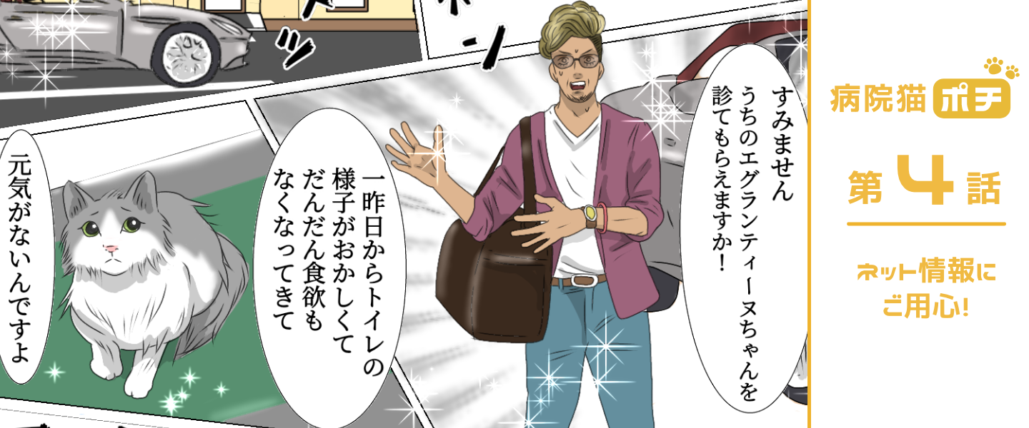 【猫マンガ vol.4】「病院猫ポチ」4話　ネット情報にご用心！