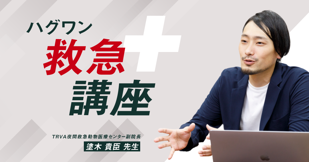 ハグワン救急講座①】夜間救急の専門医に聞く「いざというときのキホン