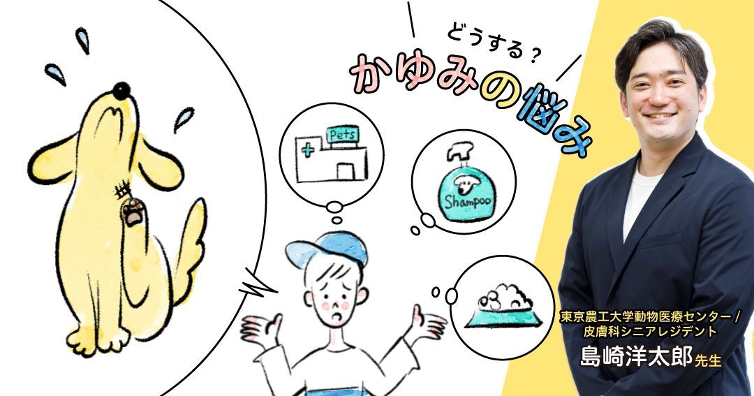 止めてあげたい、うちの子のかゆみ！ 犬のかゆみの原因や治療法を知っておこう