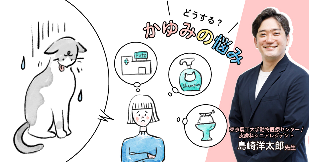止めてあげたい、うちの子のかゆみ！ 猫のかゆみの原因や治療法を知っておこう