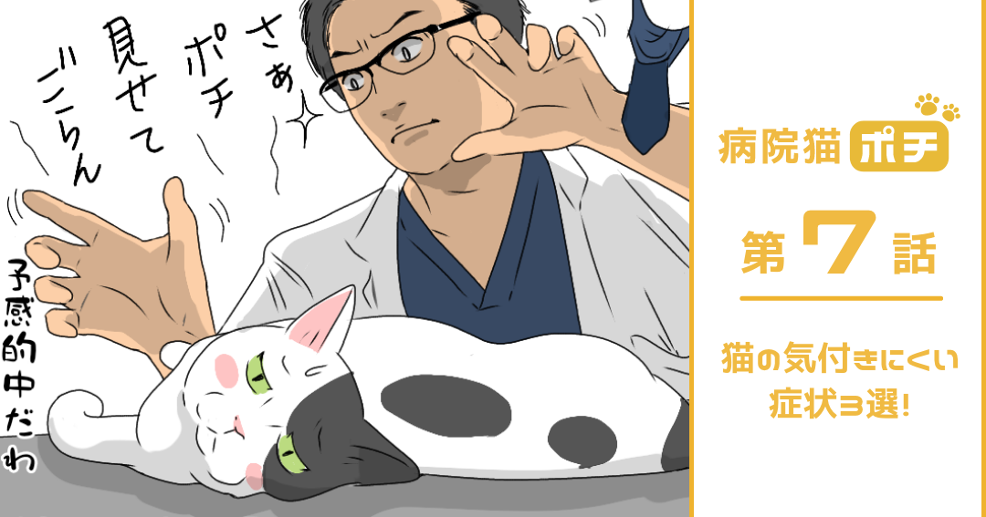 【猫マンガ vol.7】「病院猫ポチ」7話　猫の気付きにくい症状3選！