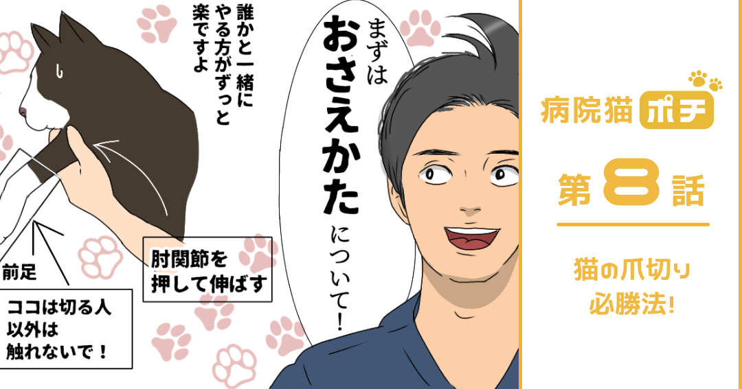 【猫マンガ vol.8】「病院猫ポチ」8話　猫の爪切り必勝法！