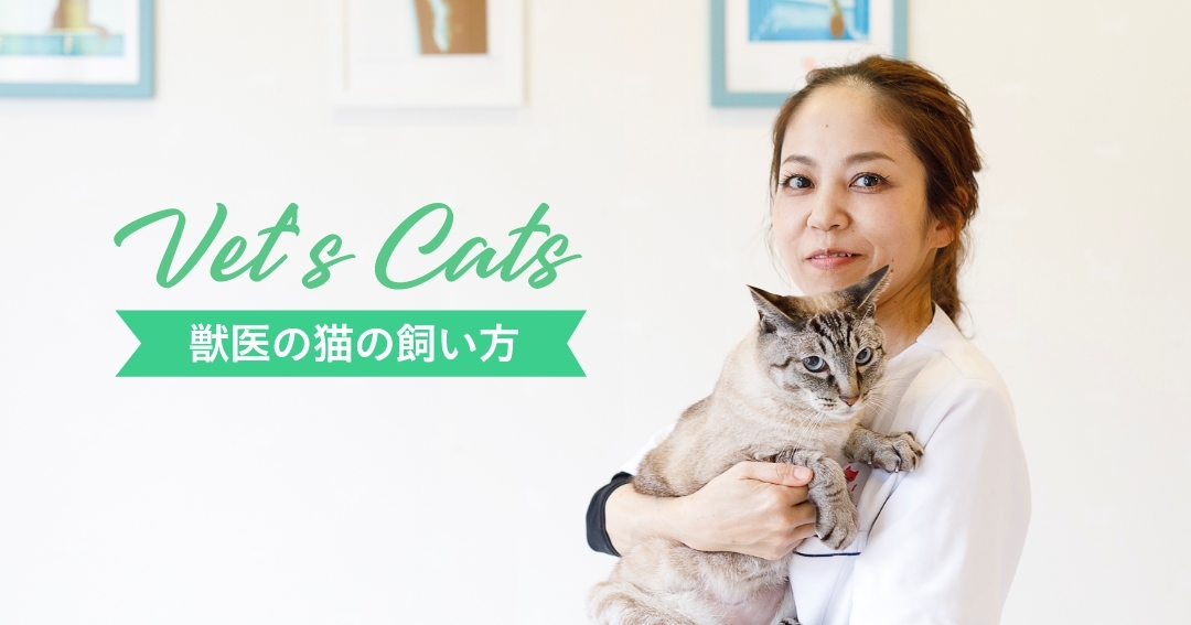 体調管理も楽しく、抜かりなく。見並由紀子先生の“猫に振り回される” 幸せな生活。