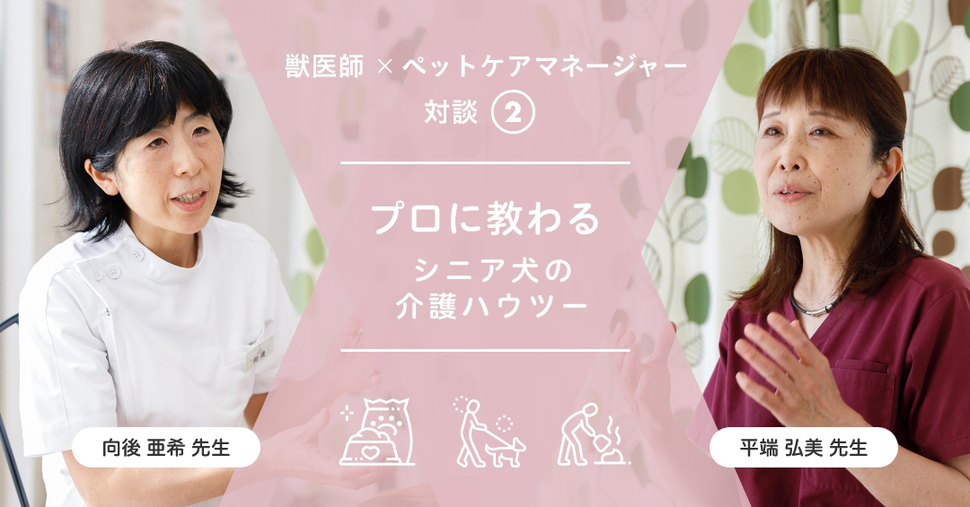 【獣医師×ペットケアマネージャー対談②】プロに教わる「シニア犬の介護ハウツー」