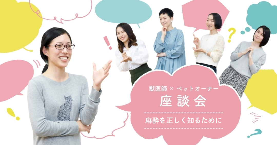 知りたい、伝えたい、麻酔の本当のところ「麻酔を正しく知るために」②