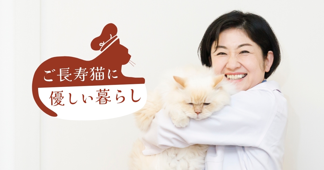 じっくり触れ合う時間が長生きの秘訣！西田しのぶ先生の“ご長寿猫に優しい暮らし”