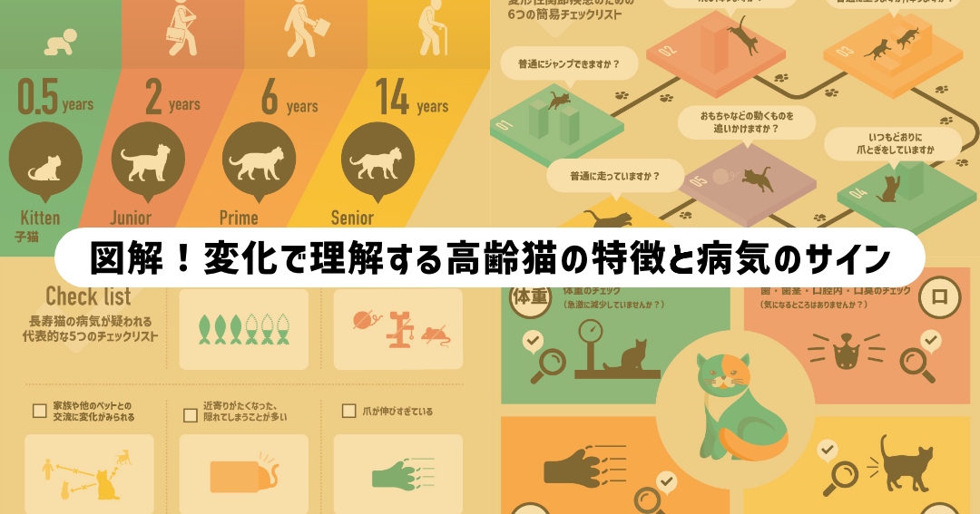 図解！ 変化で理解する高齢猫の特徴と病気のサイン