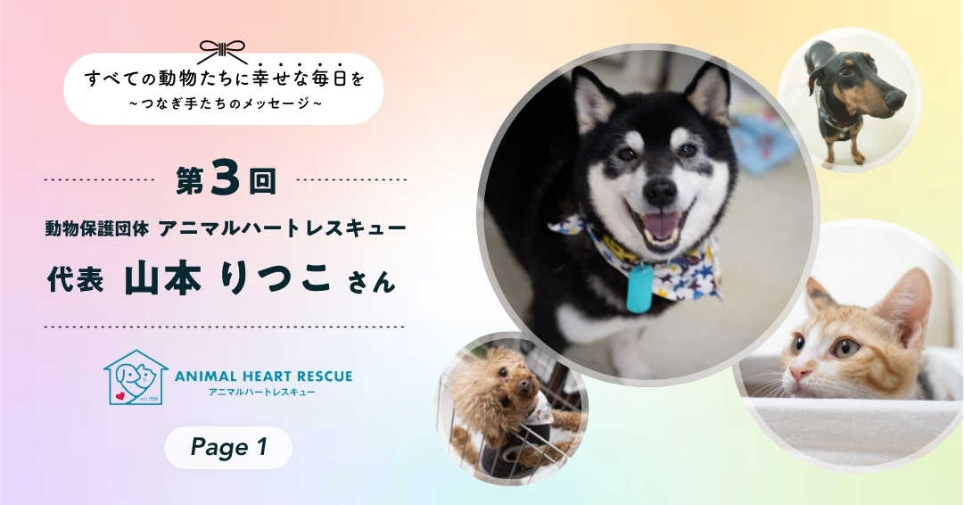 行き場のない犬猫たちに新しい家族を。動物たちの命をつなぐ保護活動のいま ①