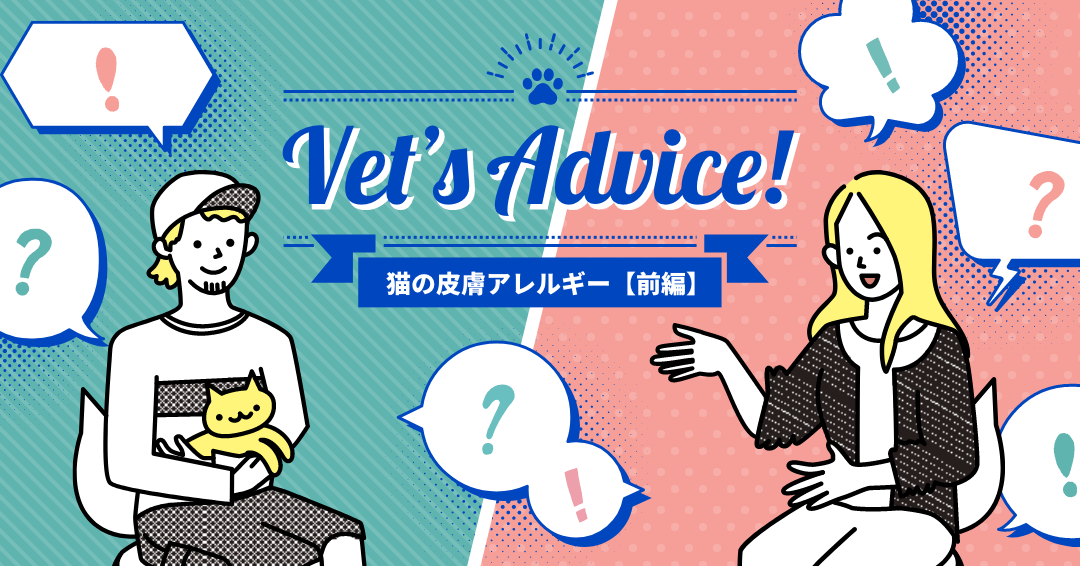 Vet’s Advice!　猫の皮膚アレルギー　前編
