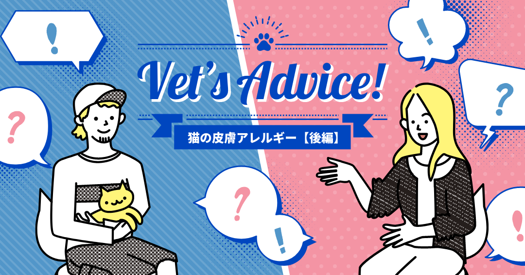 Vet’s Advice!　猫の皮膚アレルギー　後編