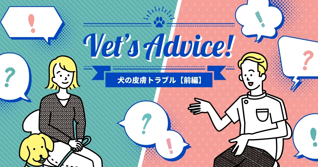 Vet’s Advice! 皮膚トラブル【前編】