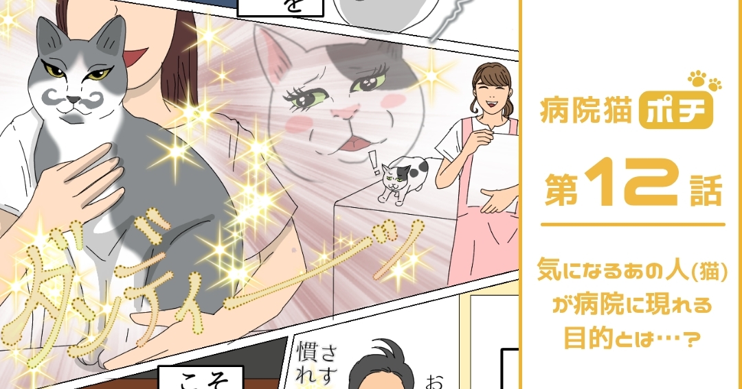 【猫マンガ vol.12】「病院猫ポチ」12話　 気になるあの人(猫)が病院に現れる目的とは…？