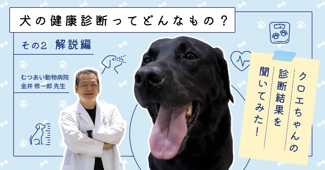 犬の健康診断ってどんなもの？② 解説編「クロエちゃんの診断結果を聞いてみた！」