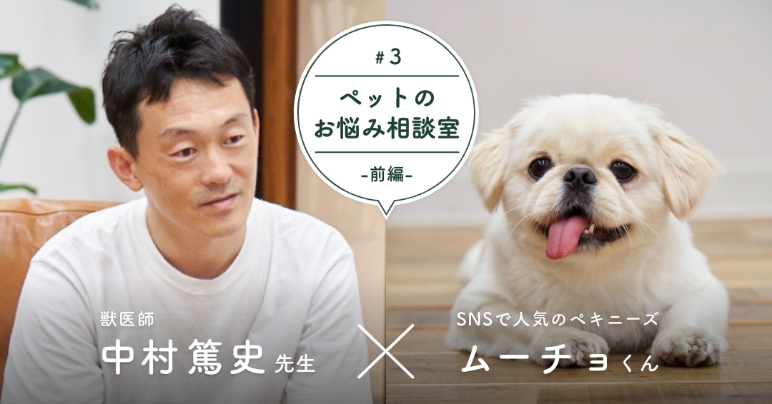 SNSでの情報収集にも熱心なオーナーさん。ムーチョくんの幸せのため、獣医師・中村先生に聞きたいこととは？（前編）