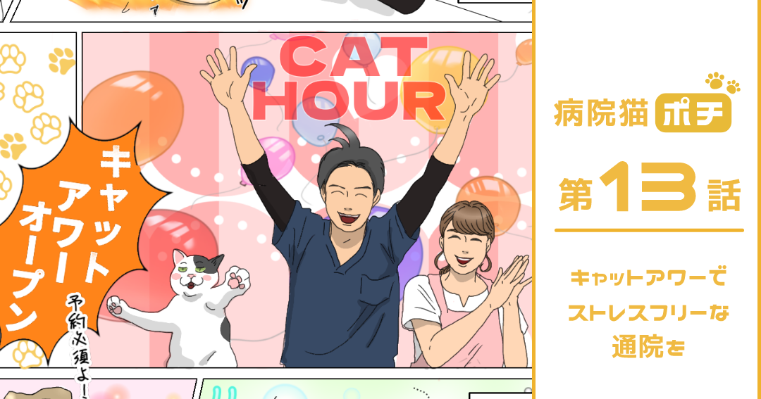 【猫マンガ vol.13】「病院猫ポチ」13話　 キャットアワーでストレスフリーな通院を