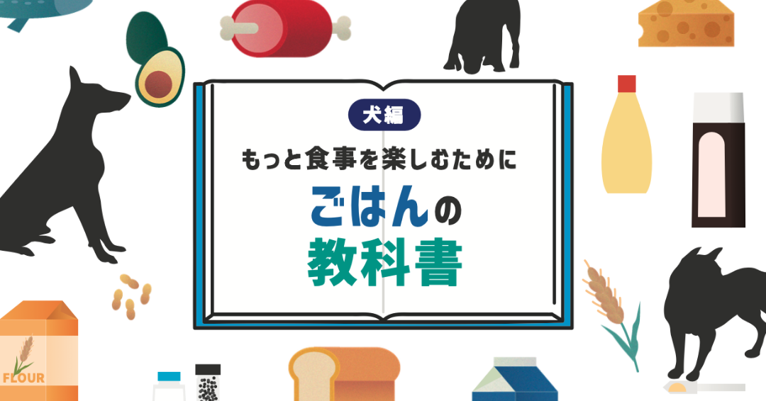 ワンちゃんに食事を楽しんでもらうために！オーナーが知っておきたい“ごはんの教科書”。