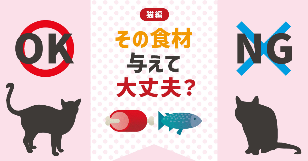 その食材、与えてOK？NG？ 猫ちゃんにオススメしたい肉・魚