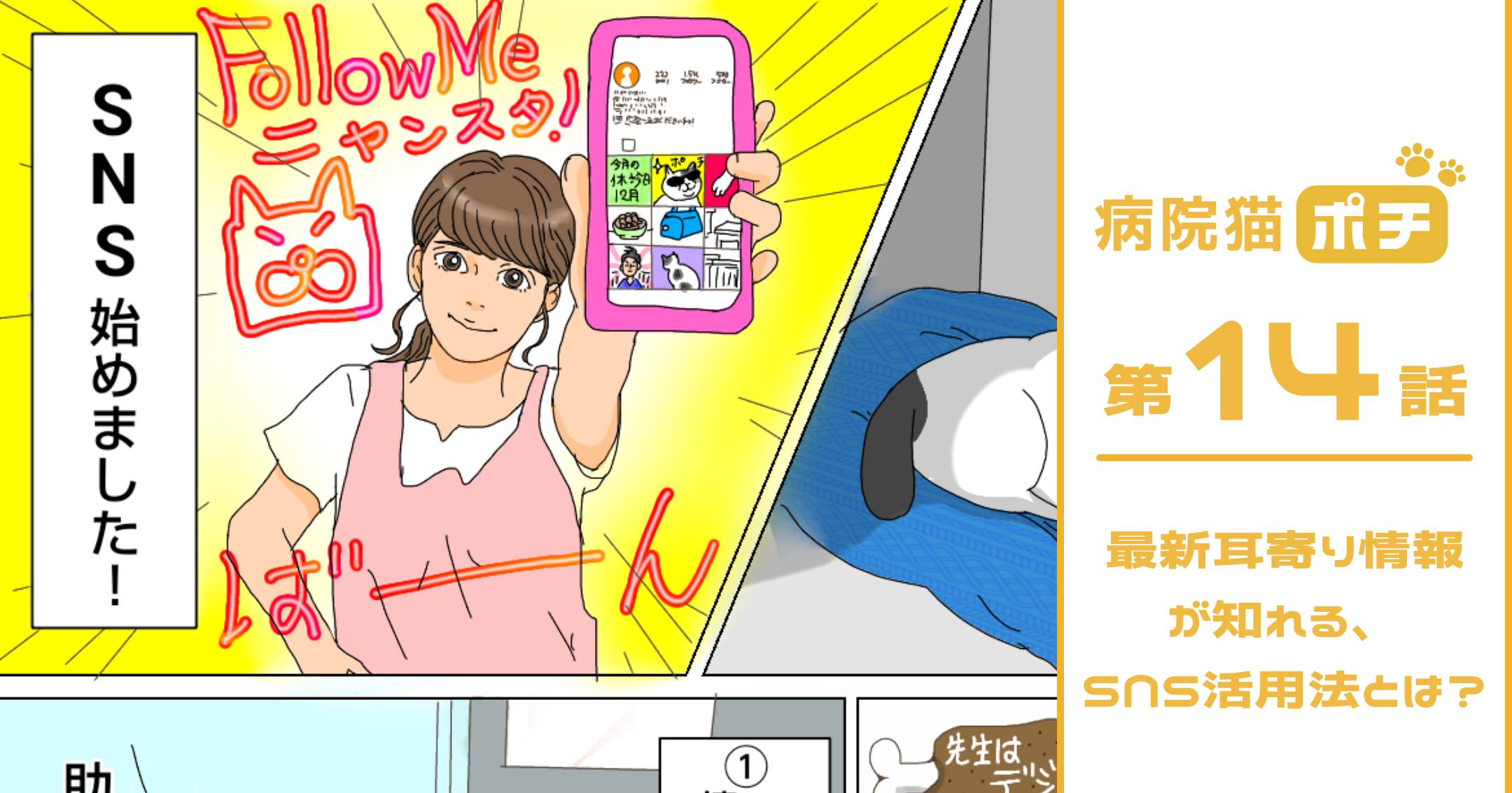 【猫マンガ vol.14】「病院猫ポチ」14話　 最新⽿寄り情報が知れる、SNS活⽤法とは？