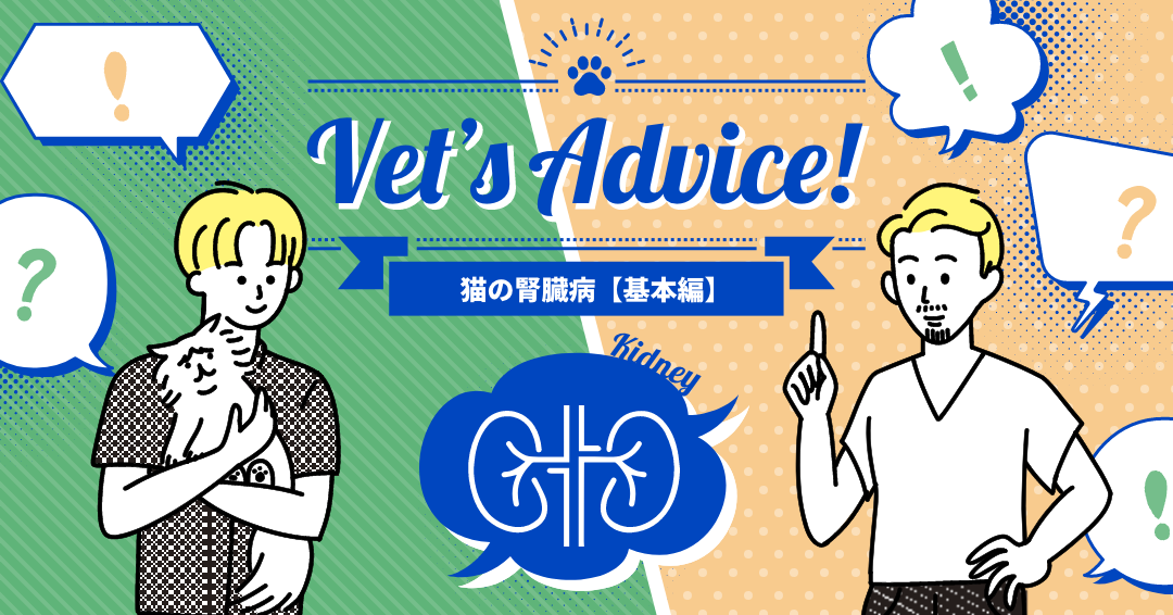 Vet’s Advice!　猫の腎臓病【基本編】