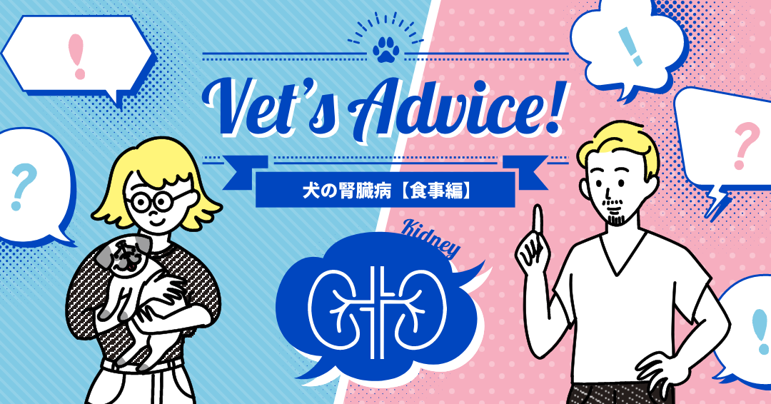 Vet’s Advice! 犬の腎臓病【食事編】
