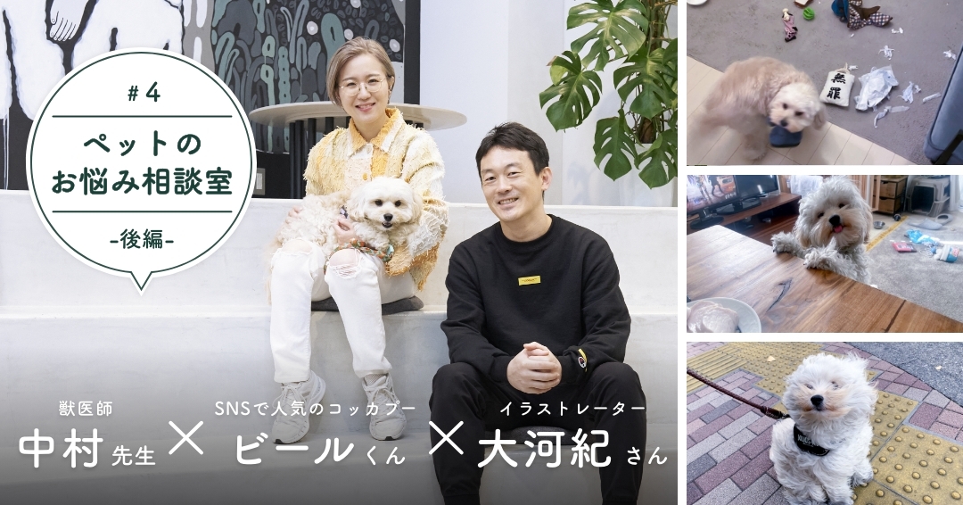犬がテーマの個展などイラストレーターとして活動する大河紀さん。愛するビールくんのために知りたいこととは？（後編）