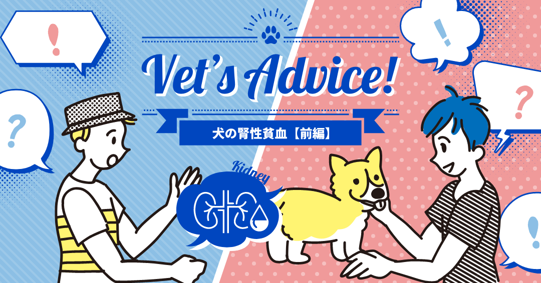 Vet’s Advice! 犬の腎性貧血【前編】