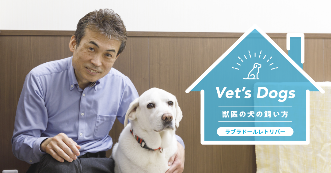 温和で愛情深く、好奇心旺盛で活発な子も多い！獣医師・中村先生が語るラブラドールレトリバーとの暮らし方