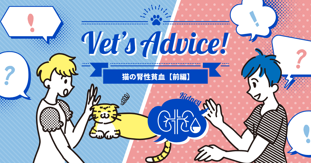 Vet’s Advice!　猫の腎性貧血【前編】