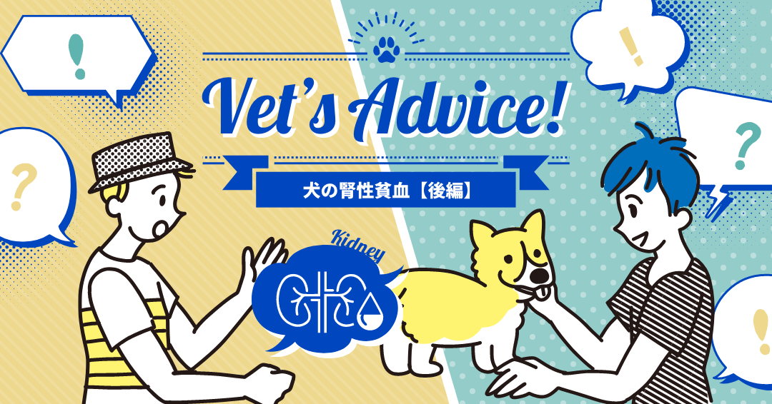 Vet’s Advice! 犬の腎性貧血【後編】