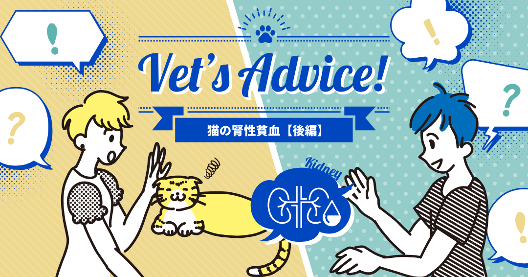 Vet’s Advice!　猫の腎性貧血【臨床症状編】