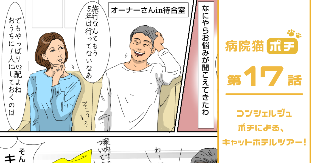 【猫マンガ vol.17】「病院猫ポチ」17話「コンシェルジュポチによる、キャットホテルツアー！」