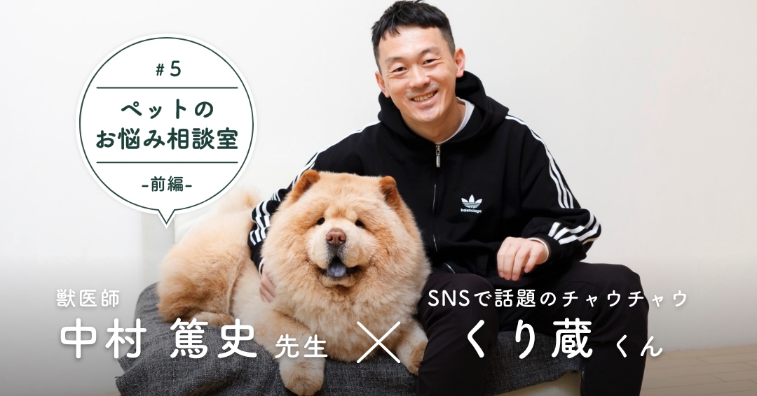 「お互いに運命を感じた」というくり蔵くんとの出会い。大型犬種・チャウチャウならではのお悩みとは？（前編）