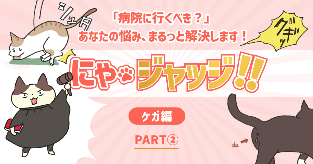 にゃ・ジャッジ「ケガ編」　PART②