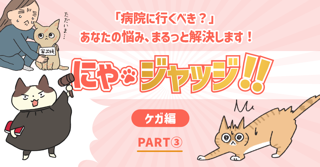 にゃ・ジャッジ「ケガ編」　PART③