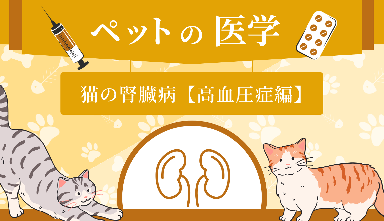 猫の高血圧は慢性腎臓病に繋がる？【獣医師監修】
