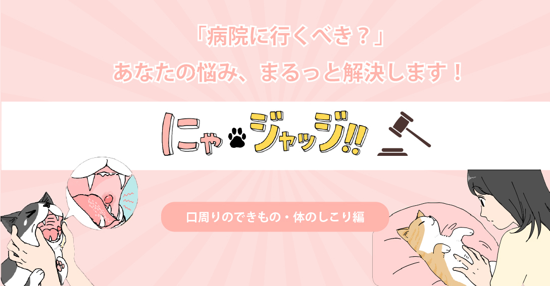 にゃ・ジャッジ「口まわりのできもの・体のしこり編」