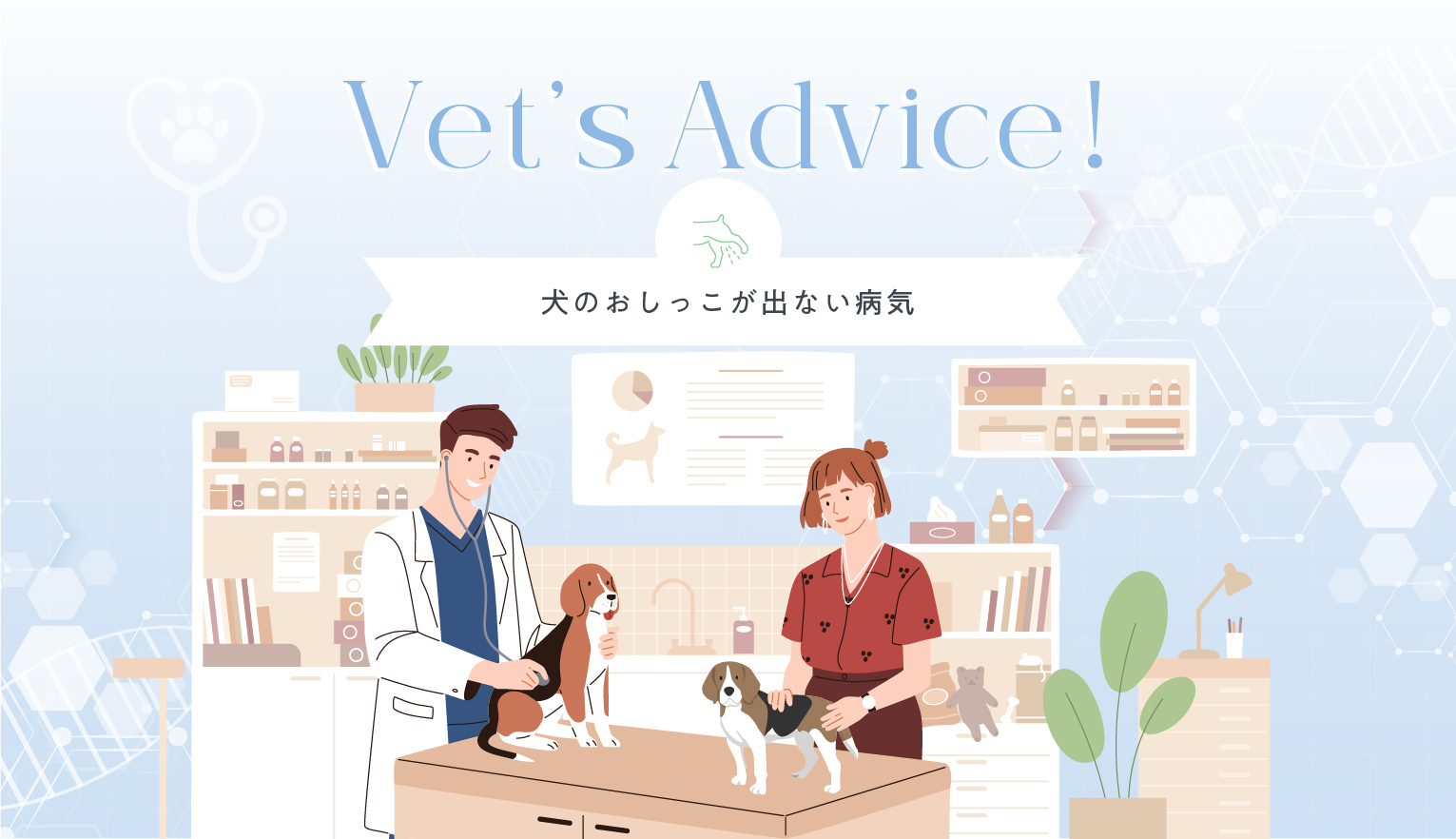 Vet’s Advice!　犬のおしっこが出ない病気