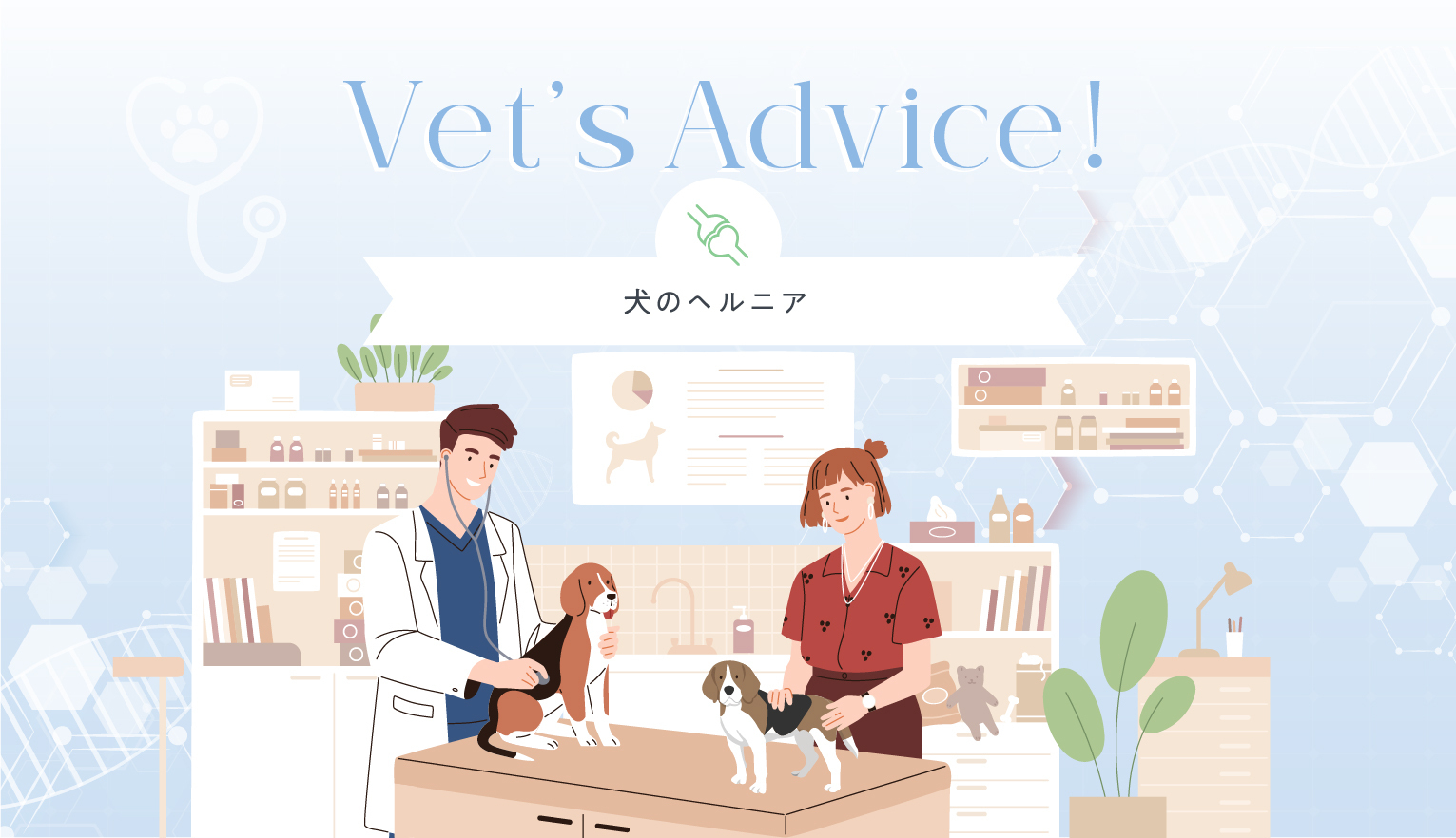Vet’s Advice!　犬のヘルニア