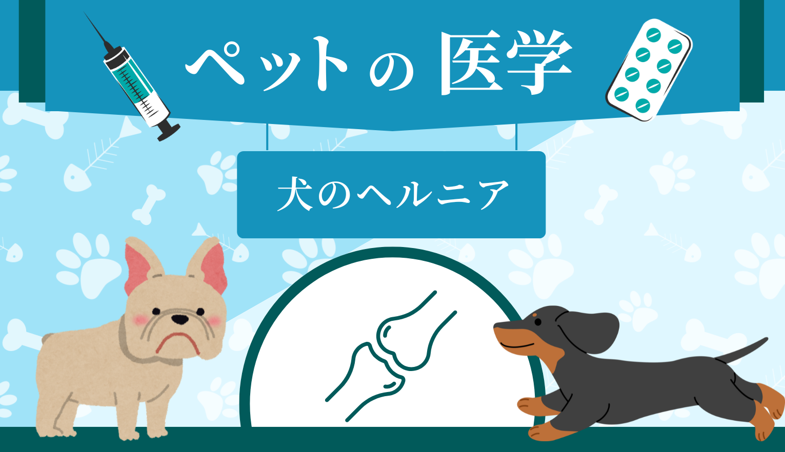 犬のヘルニアの症状とは？治療や予防法も解説【獣医師監修】