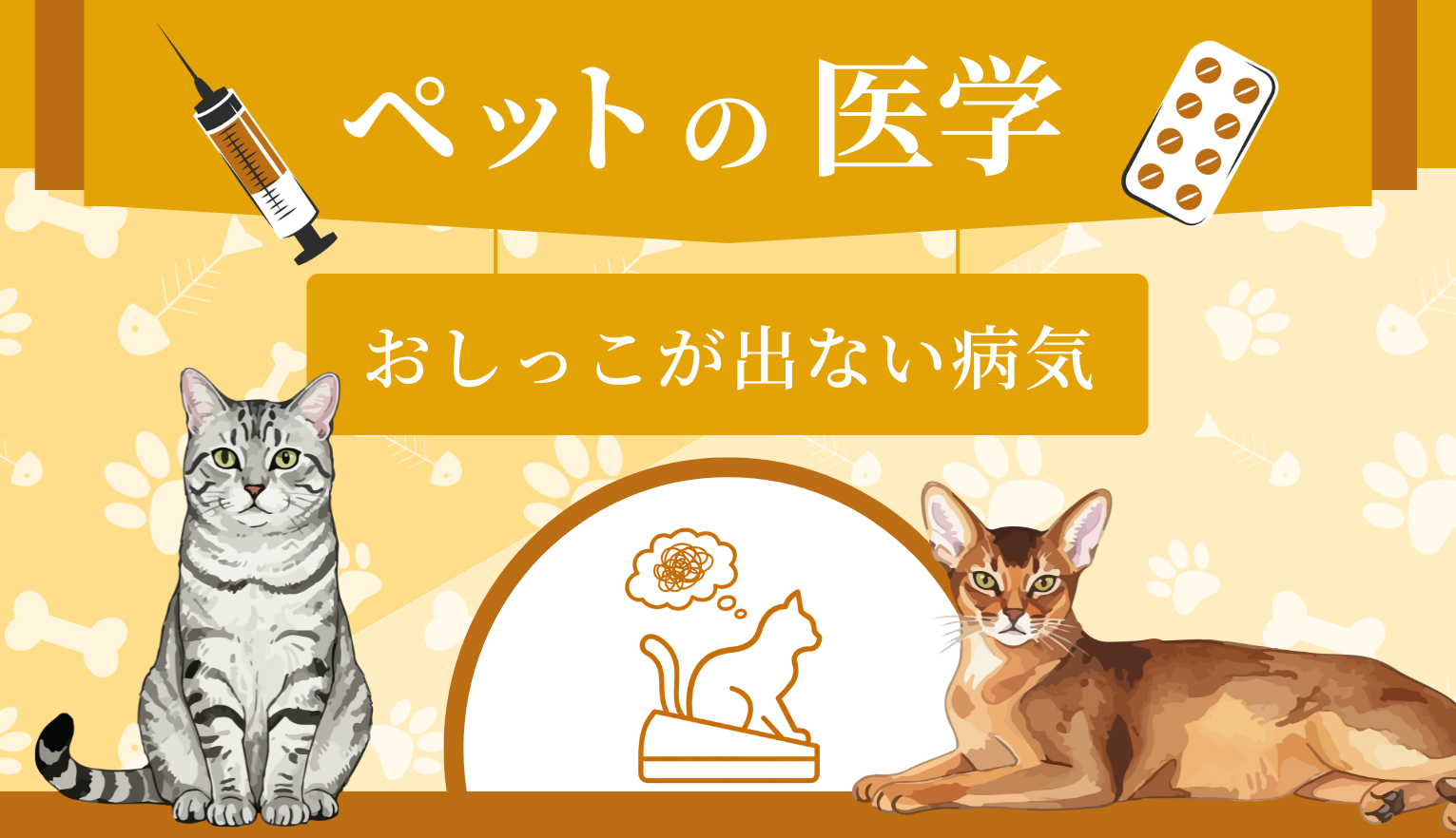 猫のおしっこが出ない病気