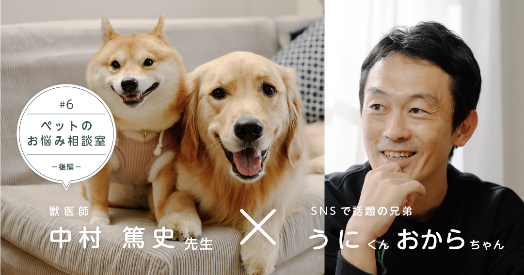 大型犬と小型犬の体格差ある多頭飼いで気をつけるポイントは？うにくん・おからちゃんを例に解説