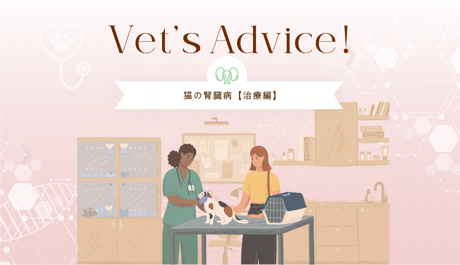 猫の腎性貧血とは？【獣医師が解説】