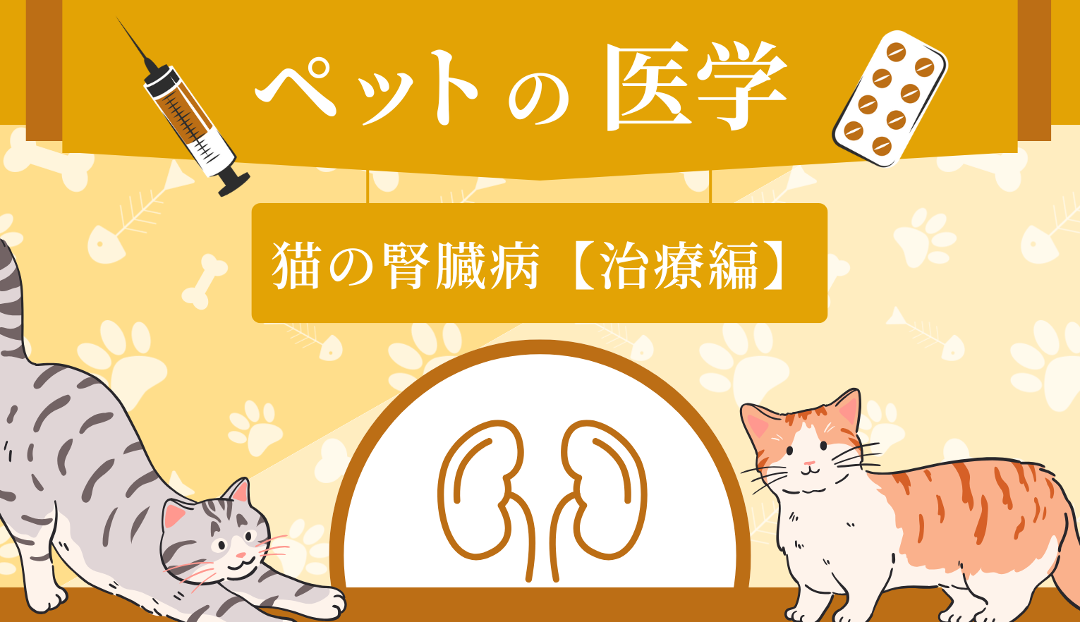 猫の腎性貧血とは？【獣医師が解説】