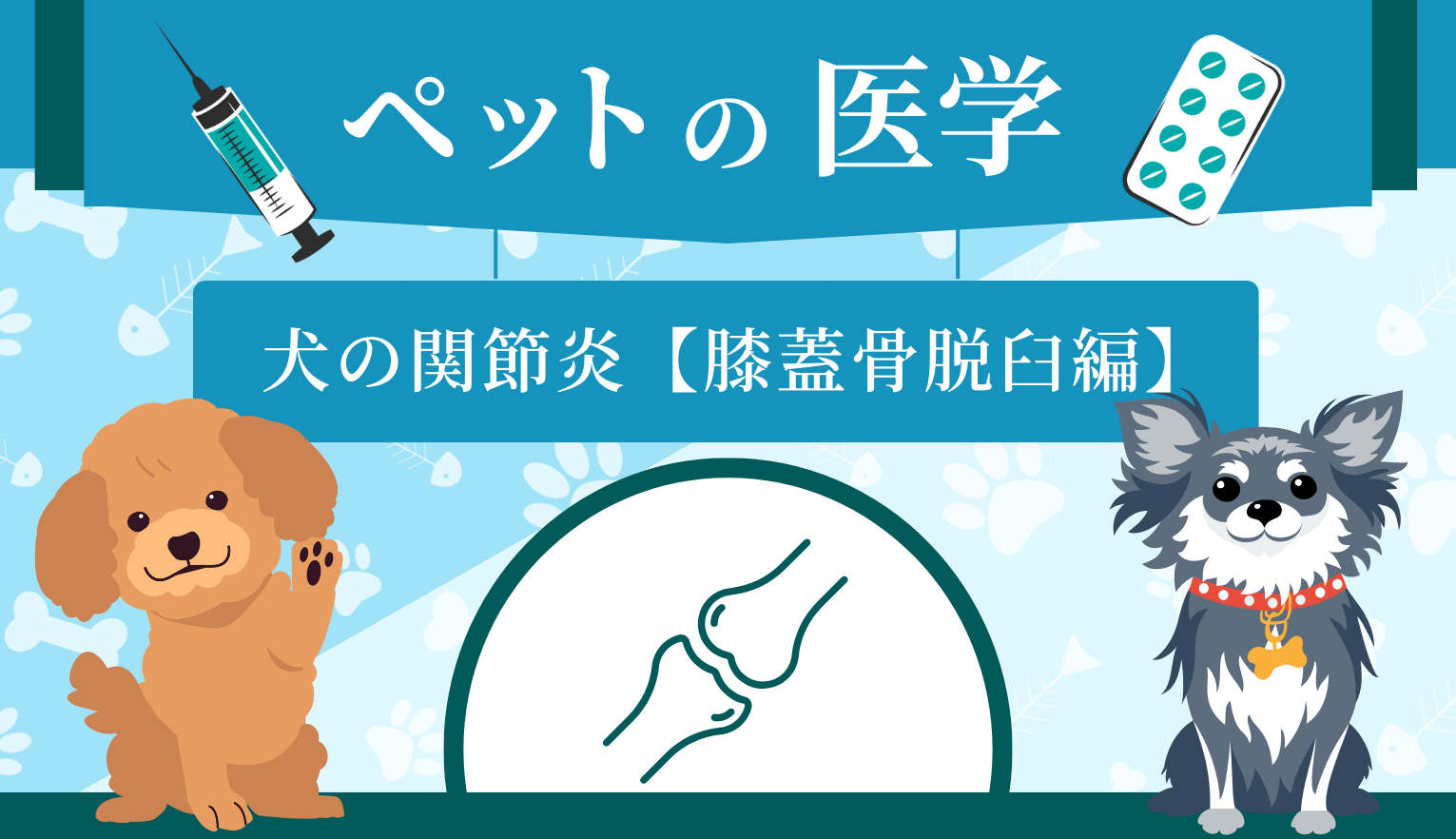 犬の関節炎【膝蓋骨脱臼編】