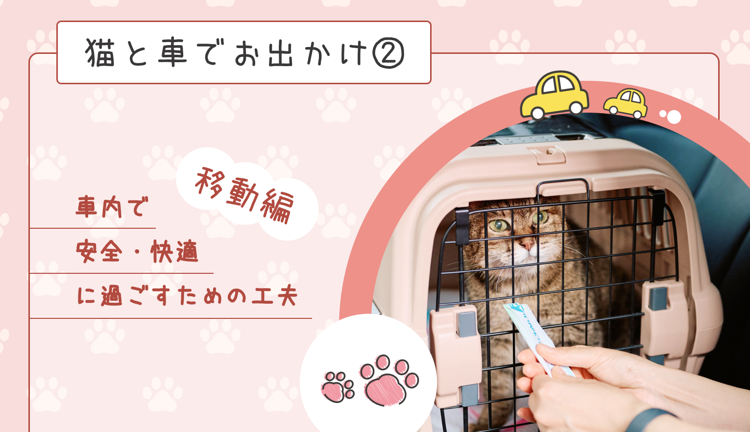 猫と車でお出かけ②移動編「車内で安全・快適に過ごすための工夫」