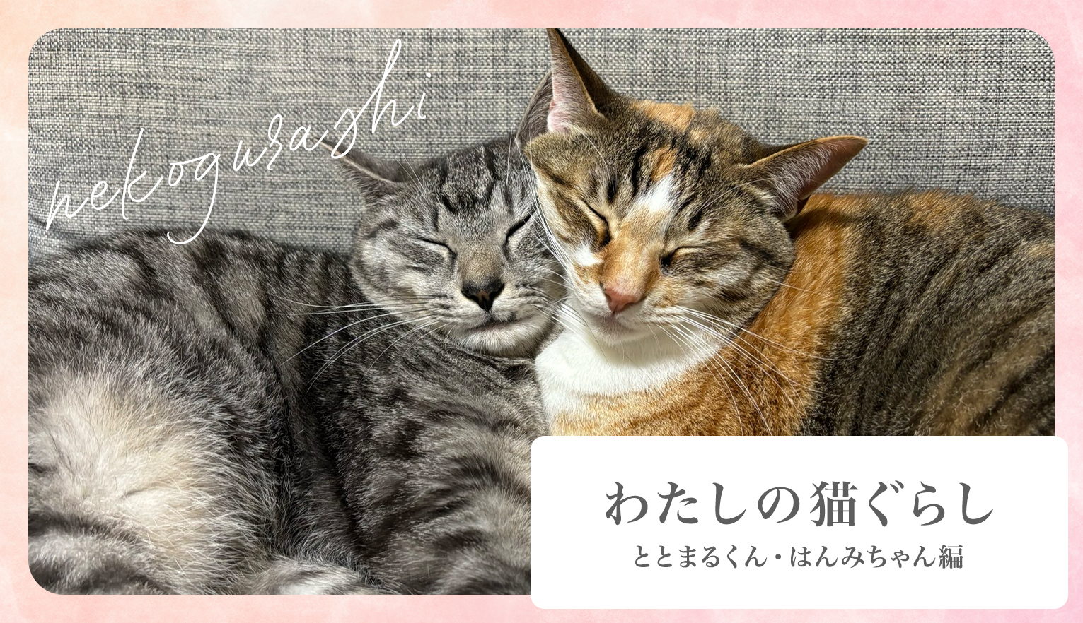 わたしの猫ぐらし「ととまるくん・はんみちゃん」前編