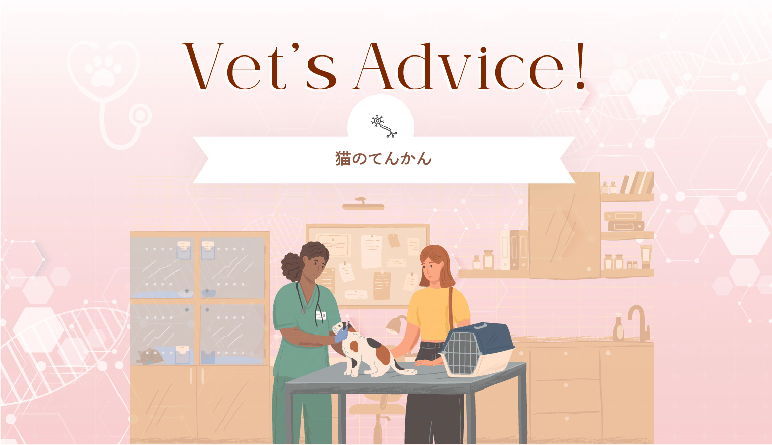 猫のてんかんとは？原因や症状に加えて発作が起きた時の対処法も解説【獣医師監修】