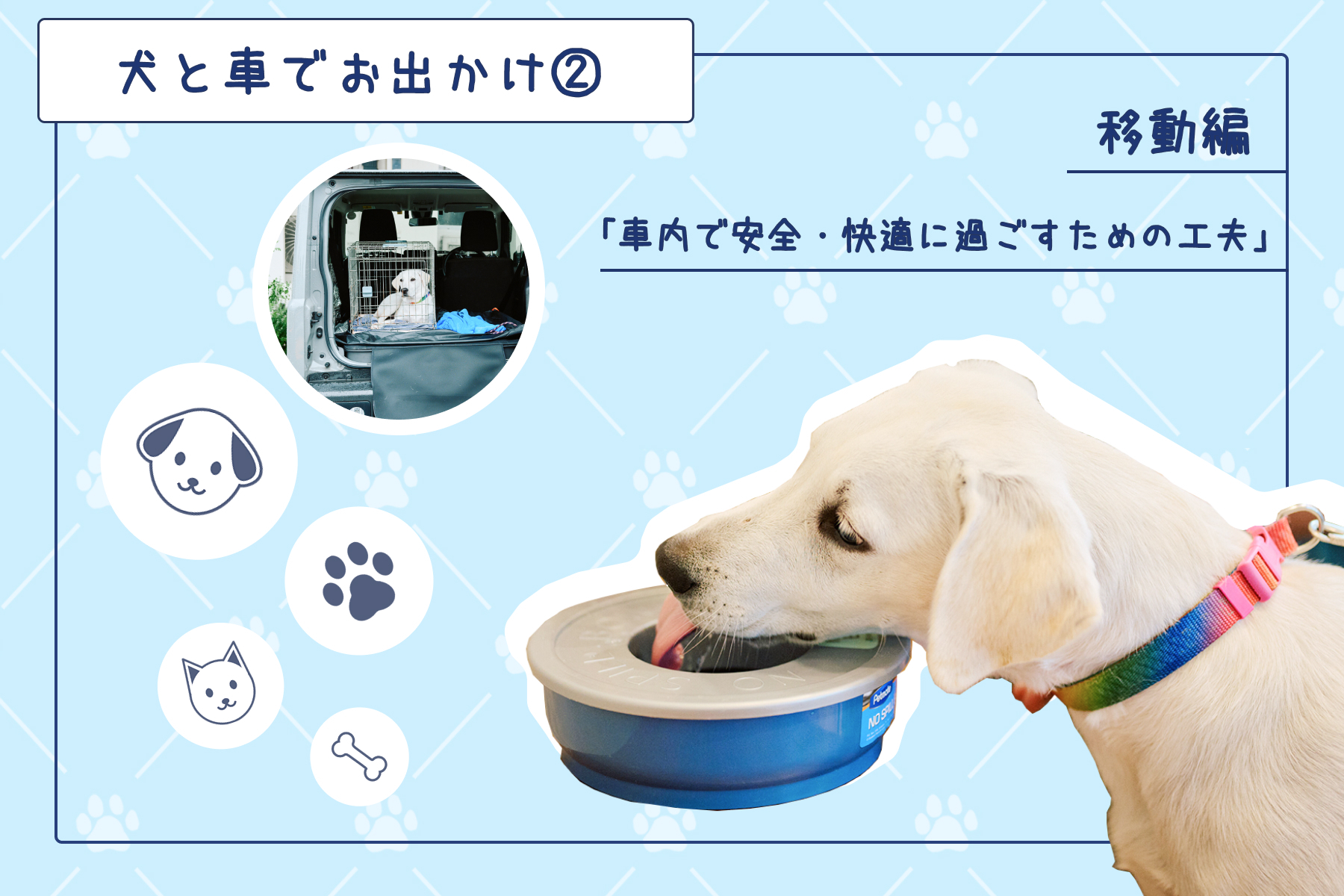 犬と車でお出かけ②移動編「車内で安全・快適に過ごすための工夫」